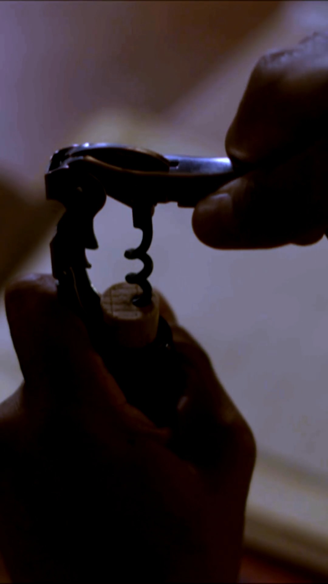 Winemaking is a delicate process where patience is the main ingredient ...