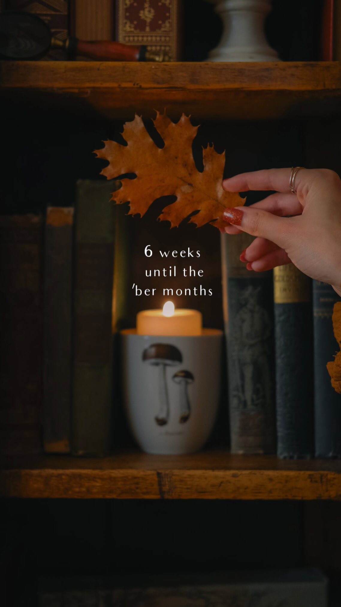 who else is counting down with me until the autumn magic arrives?? 🎃🍁 I ...