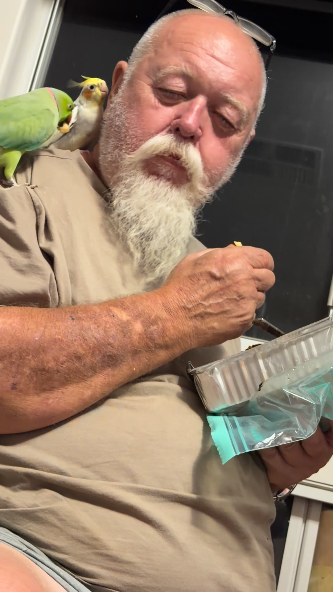 #Parrot #animals #pet #trending | Samantha Sims | Facebook