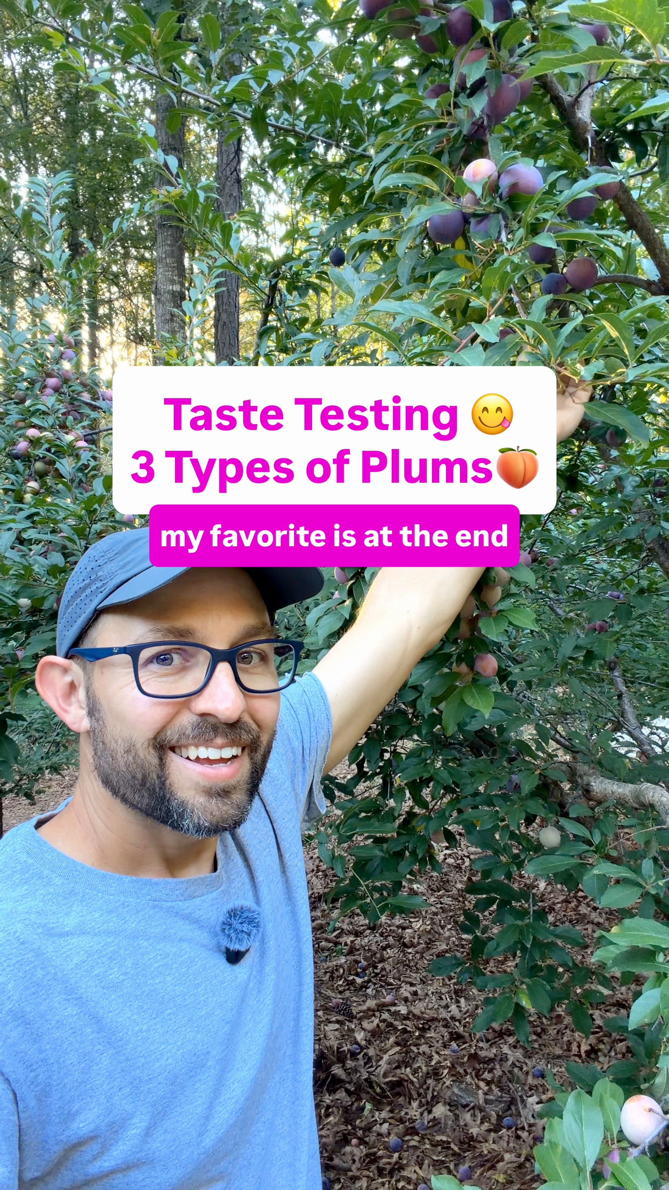 What type are you growing? 🍑👇 I taste-tested three Japanese