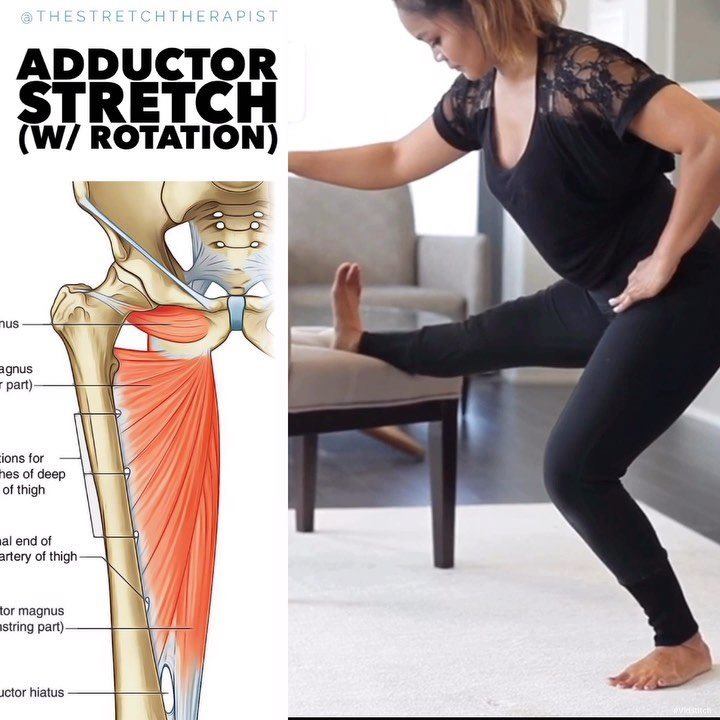 👩🏻‍💻IF YOU SIT, DO THIS! _ Work on your adductors, internal & external ...
