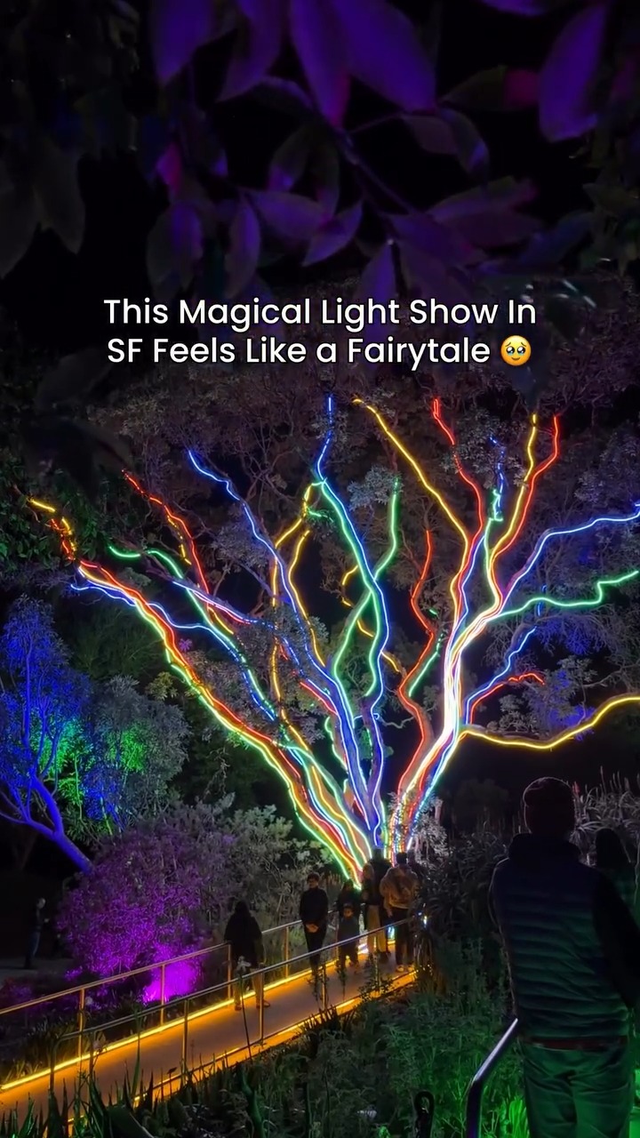 The new Lightscape in San Francisco is incredible! You can tell they ...