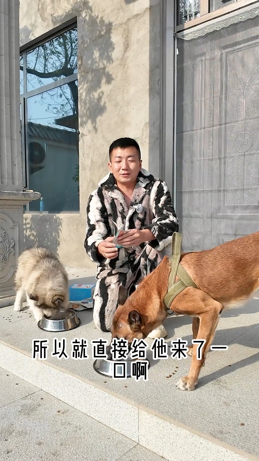 接小桃回家 #剧情 #狗狗 #正能量 #生活 | 忠犬马户 | Facebook