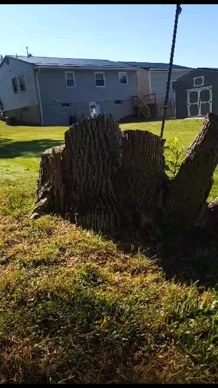 You really can do magic with a stump grinder!🪵 It's like nothing was ...