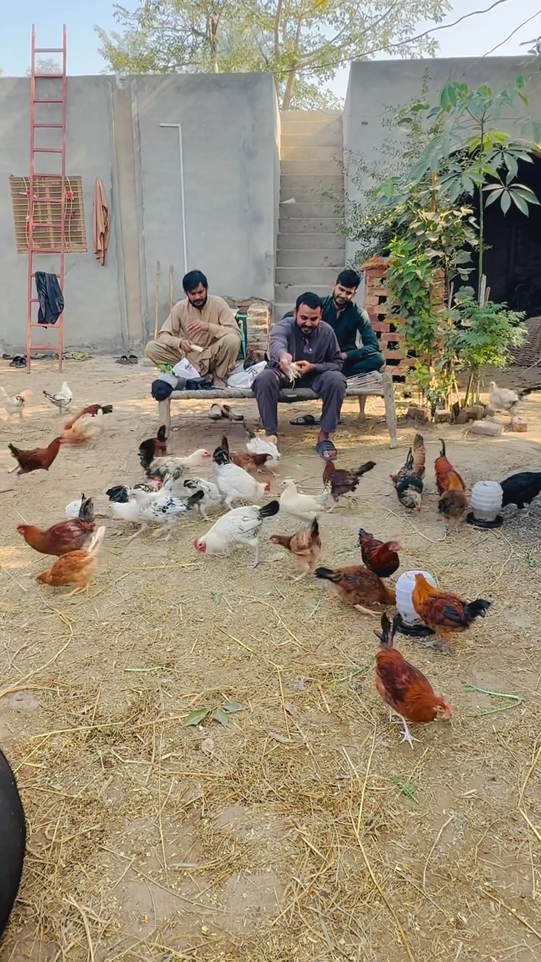 Mashallah sab tihk ha choze | Mian Dildar | Facebook