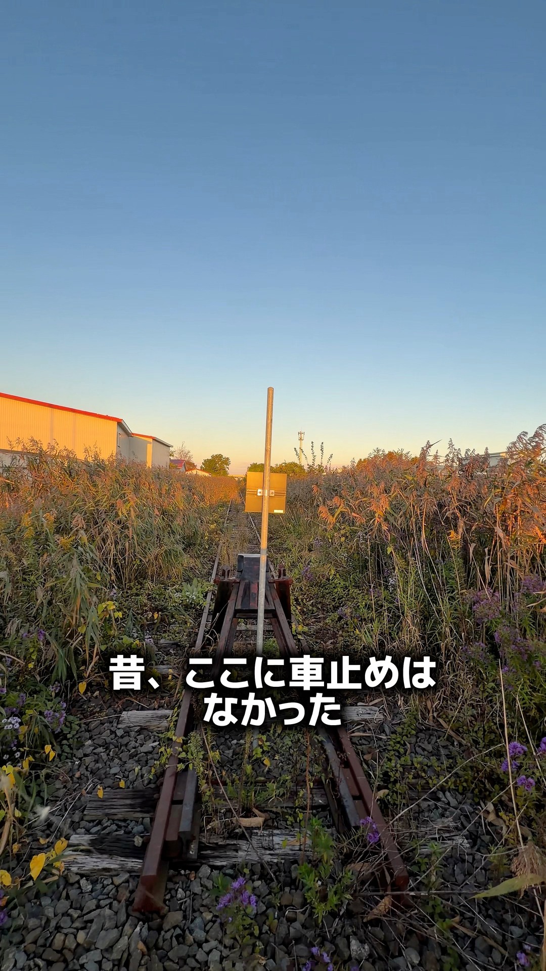 昔、ここに車止めはありませんでした。 北海道・日高本線の鵡川駅