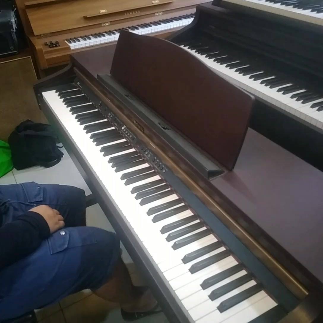 ❌ SOLD - NOT AVAILABLE ❌ 🚩FOR SALE ROLAND HP145 DIGITAL PIANO