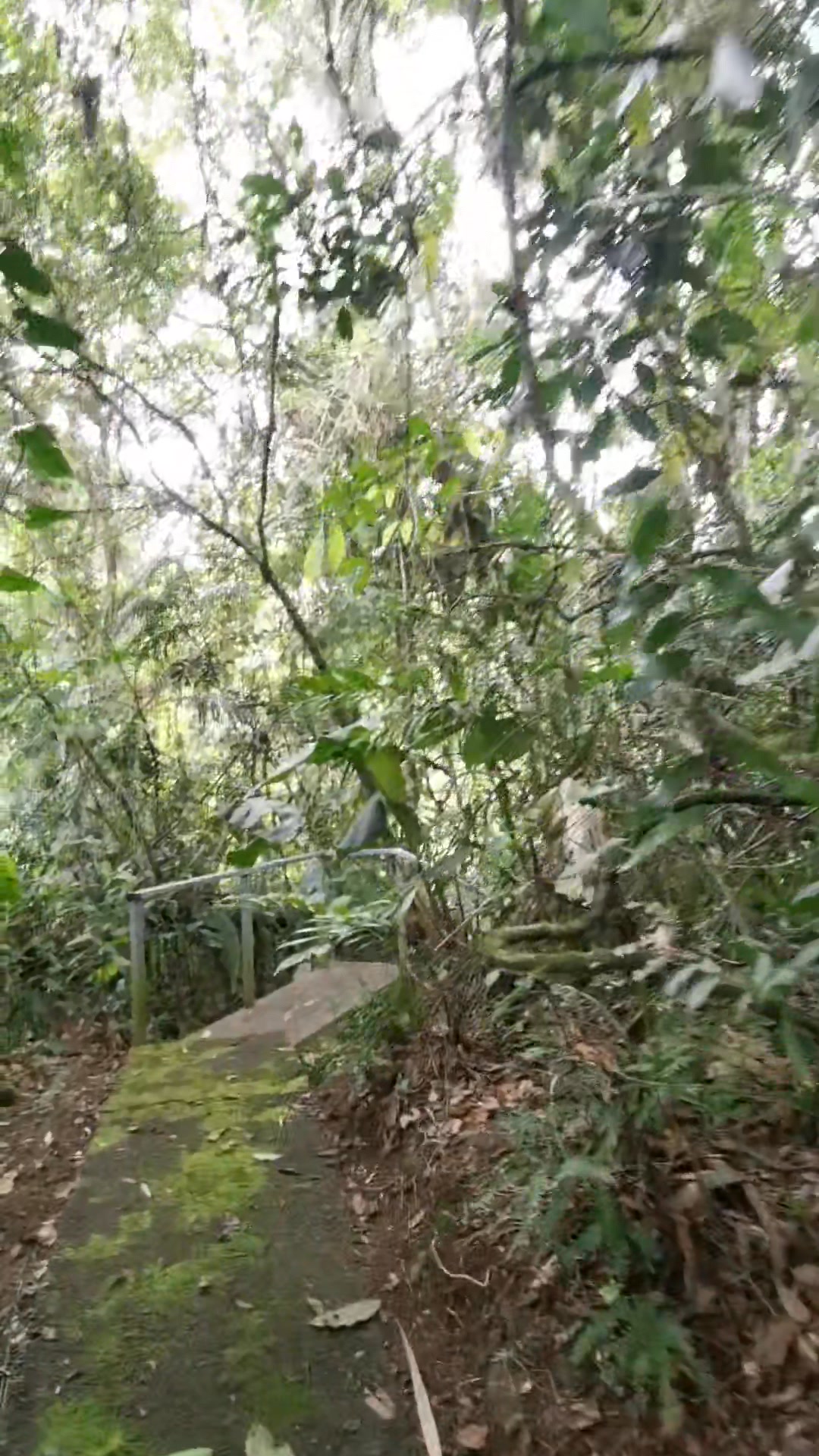 🌾🍃☘️🌳 | Rancho Escondido, Costa Rica | Facebook