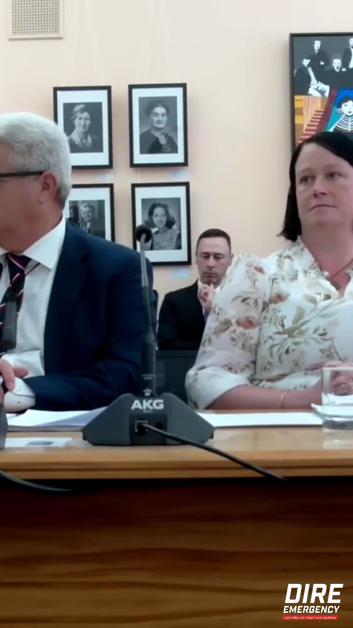 Mike Davidson MP and Lemauga Lydia Sosene MP question FENZ Chief ...