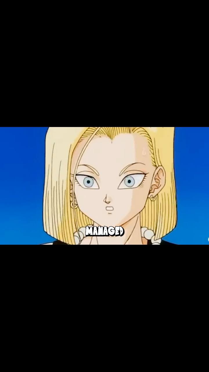 17 doesn’t like his bro In law 🤣 #dbz #goku #anime #DBZPodcast ...