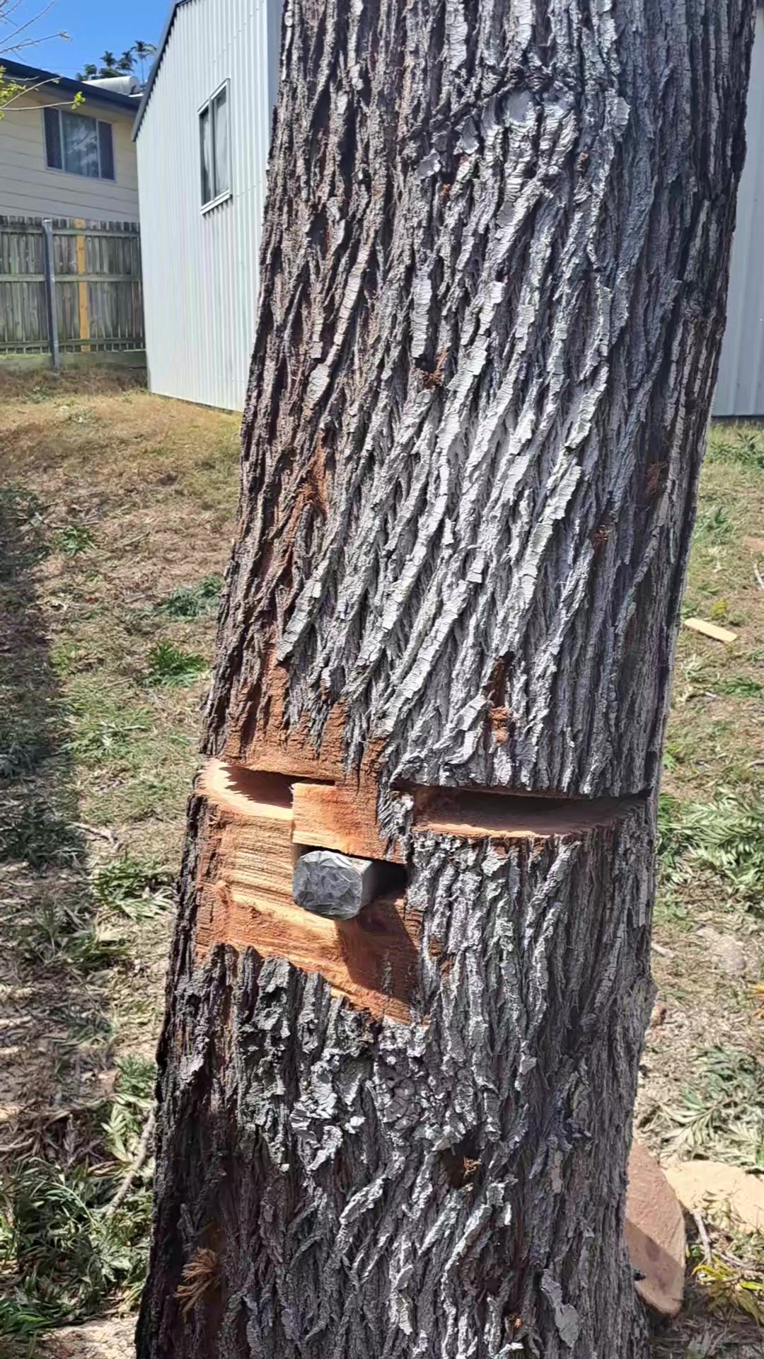 Lukes Tree Services on Reels | Facebook