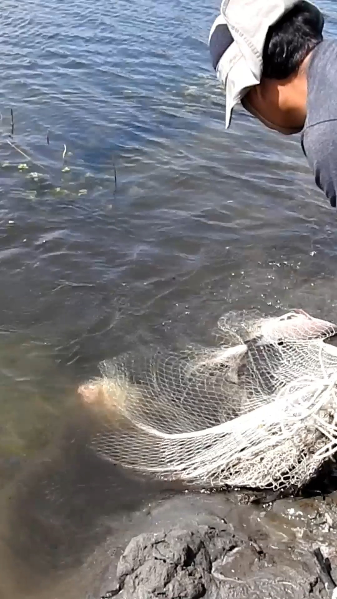 Como tirar un red de #pesca, bien explicado paso a paso, vídeo hecho ...