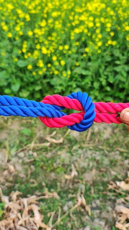 Amazing rope.!! #shorts #reels #Amazing #rope | Knot Tricks | Facebook