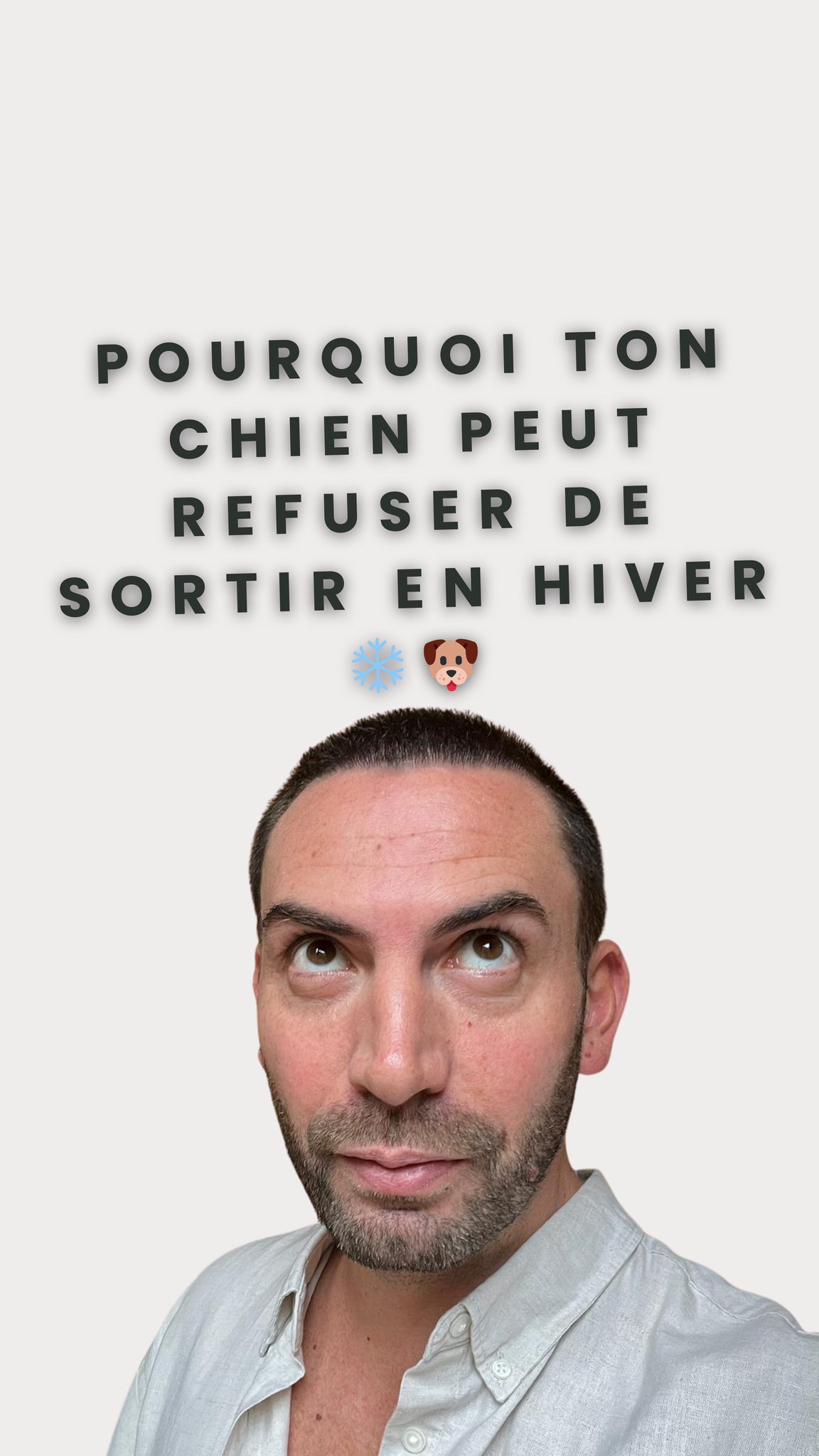 Pourquoi ton chien peut refuser de sortir en hiver ️🐶 Le froid, le vent ...