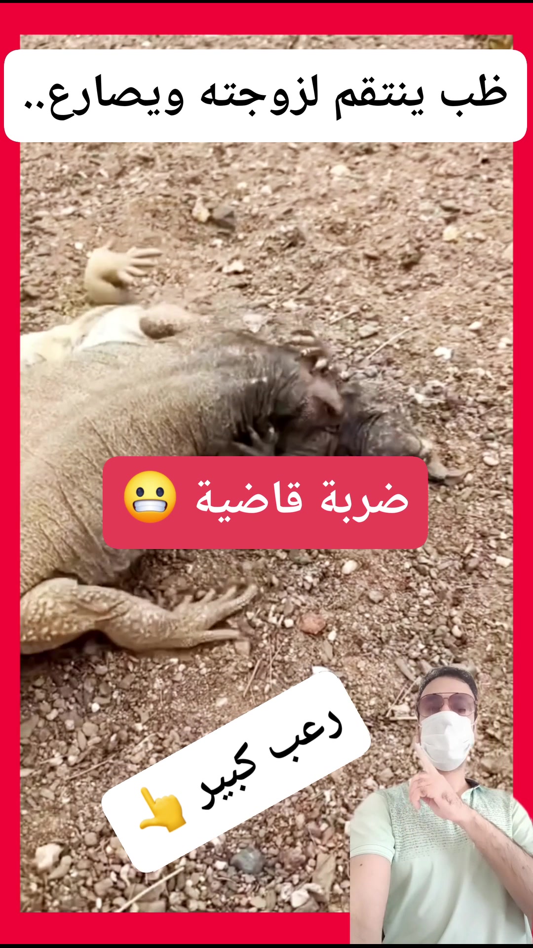 مصارعة مجنونة بين ظبين #معلومات #wildlife | نزهة ومتعة معا | Facebook