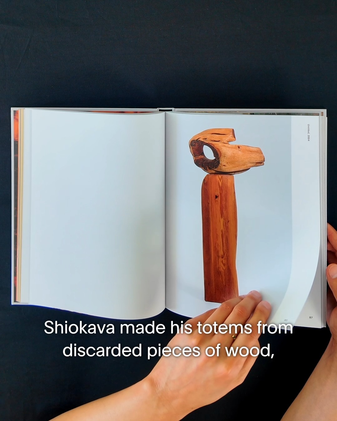 Explore the first-ever monograph dedicated to Kenzi Shiokava's