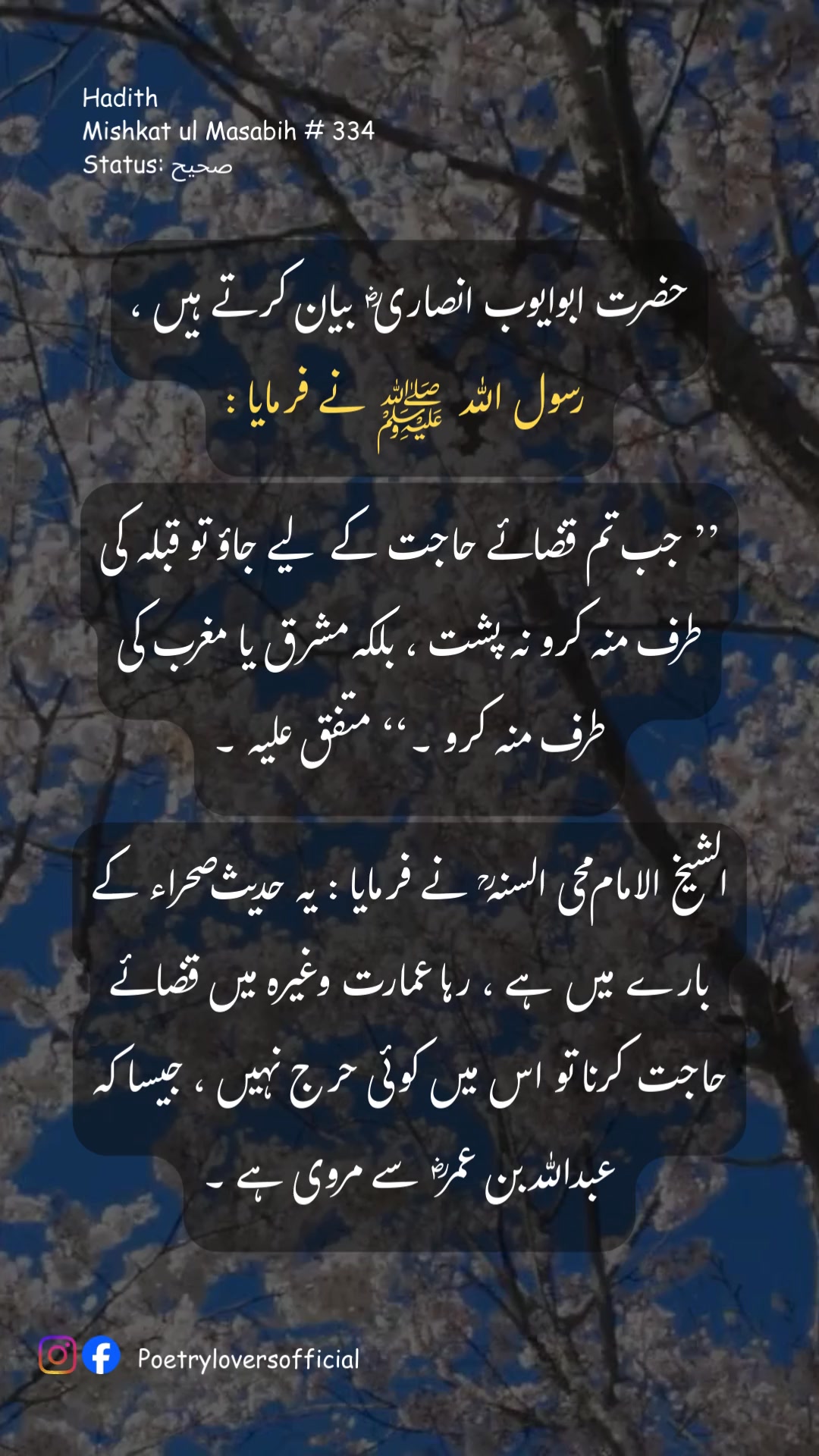 #hadees #hadithoftheday #hadeessharif #Hadith | Poetryloversofficial ...
