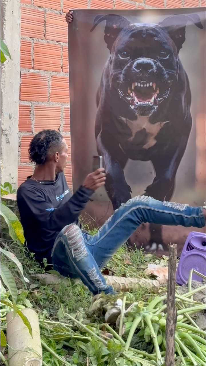 El perro 🐕 solpresa | Issac David TV | Facebook