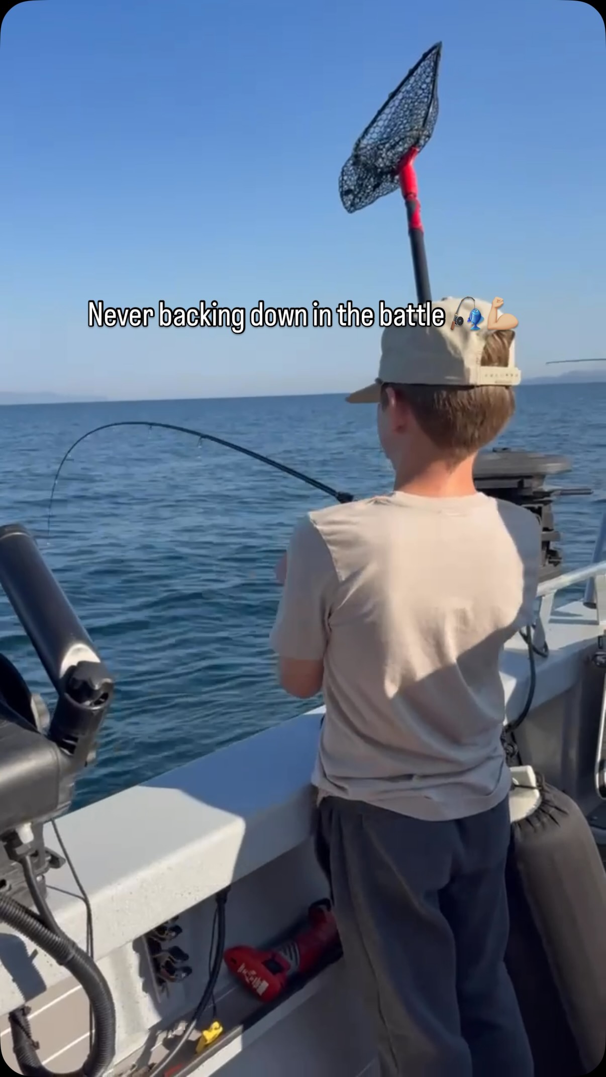 600 fishing reel 600STS Spinning I Catfish Pro Rod_Transportation Salmo Bullhead Sparkling Bullhead; or navigating difficult coastal Model:Lexa 300H-P (Right Hand)