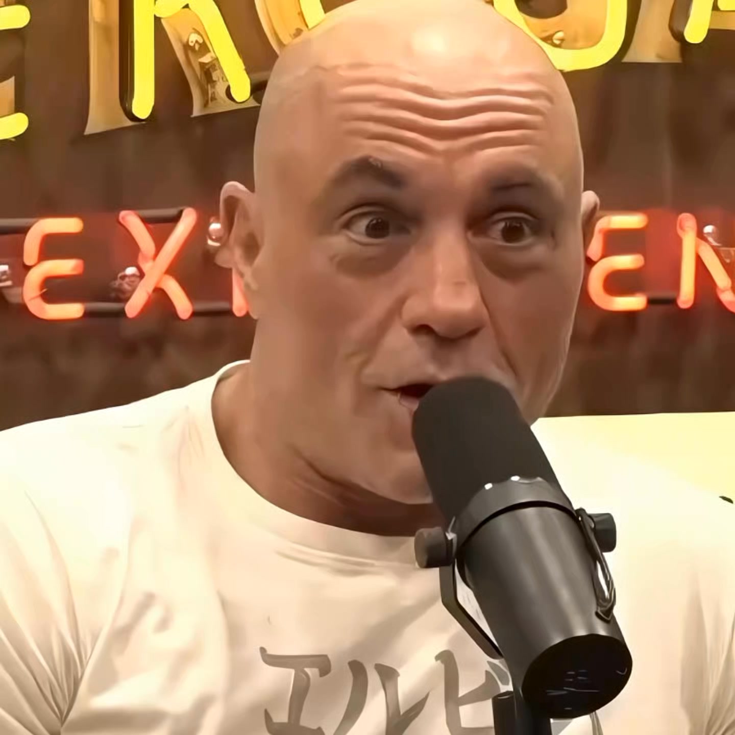 Joe Rogan Responds to JD Vance's Takedown of CNN's Dana Bash ...