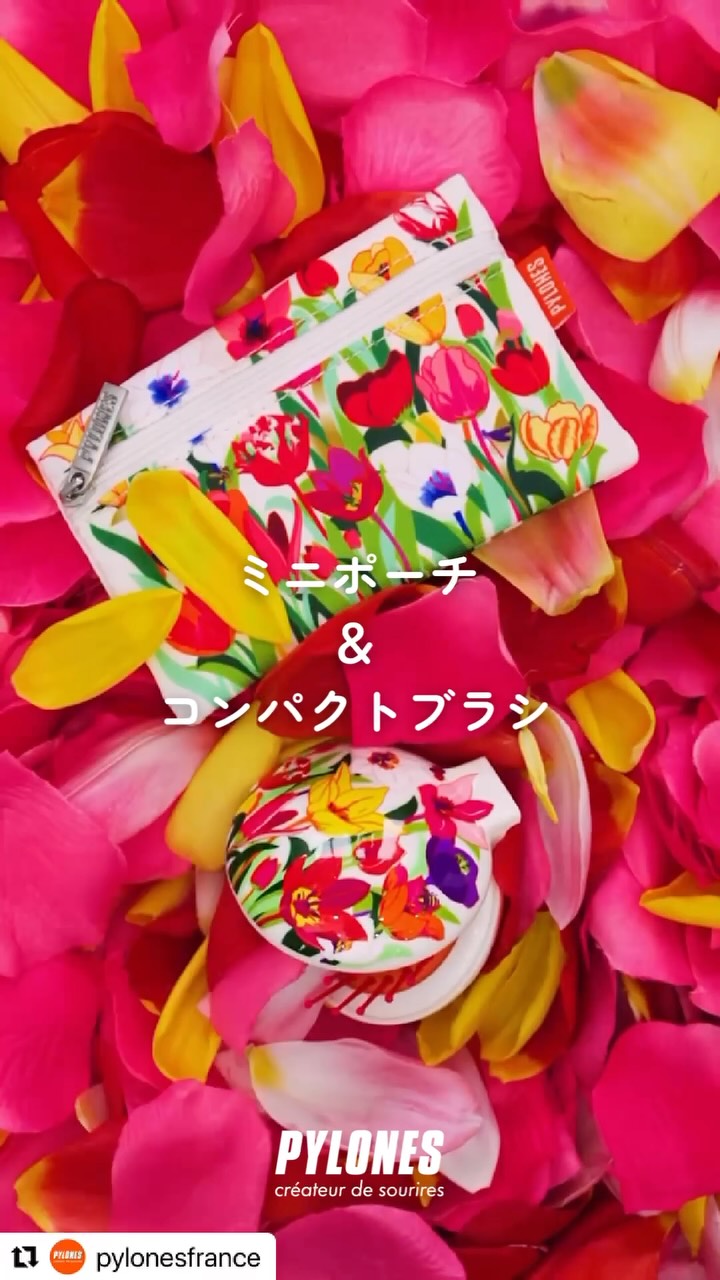 Pylones Japon (@petitcoquin.net) • Facebook