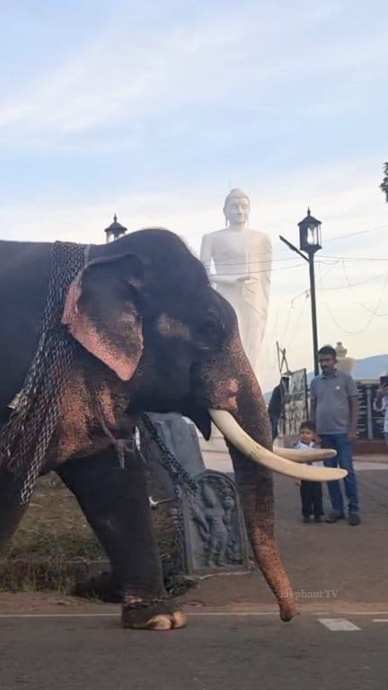 බුද්ධ කාර‌්‍යයට කැපවු පුලතිසි|Pulathisi raja|သီရိလင်္ကာရှိ miyanmar ...
