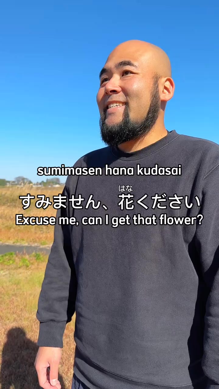 花(はな)🌸 and 鼻(はな)👃 sumimasen hana kudasai すみません、花ください Excuse me, can I ...