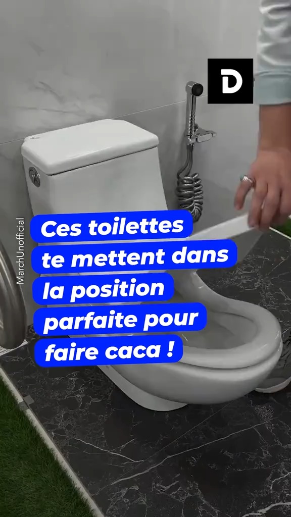 Ces toilettes te mettent dans la position parfaite pour faire caca ...