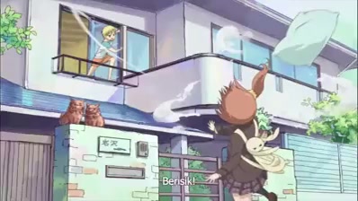 Perfil de Info Anime