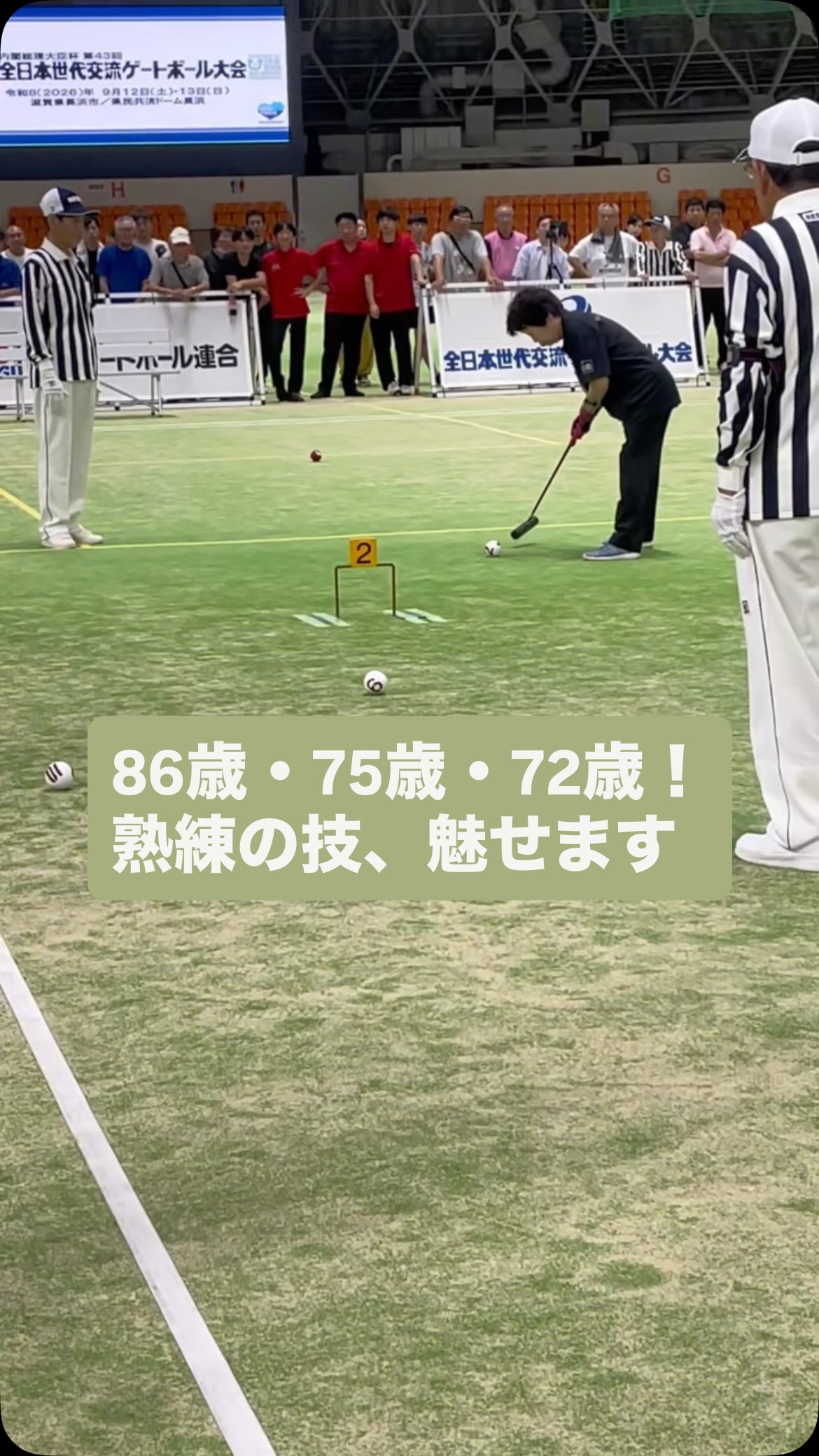 公益財団法人日本ゲートボール連合（Japan Gateball Union） | Minato