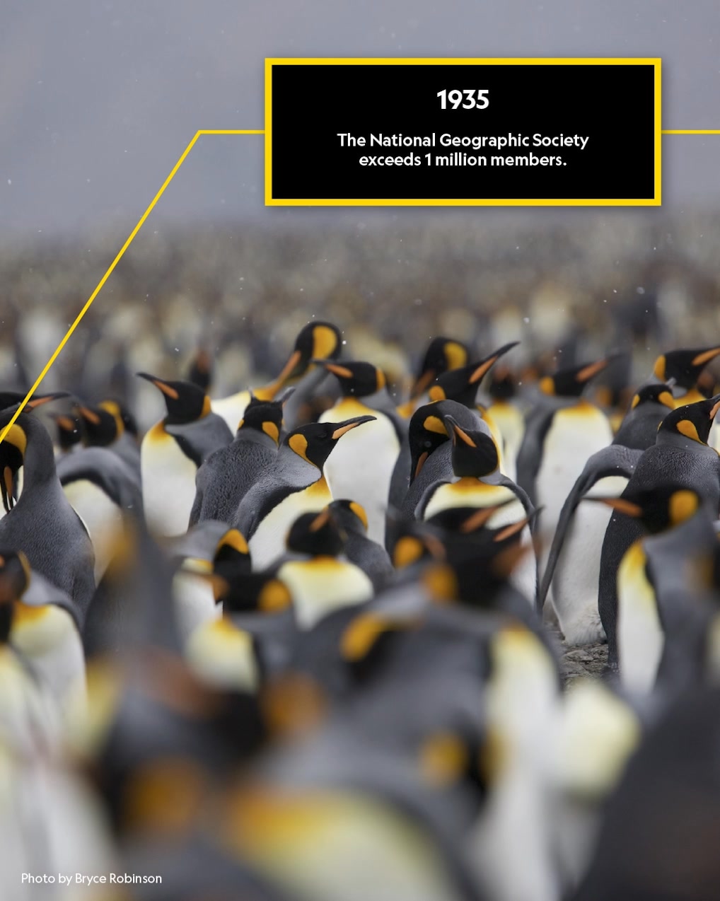 The National Geographic Society turns 138 today! 🎂 Since 1888, we've ...