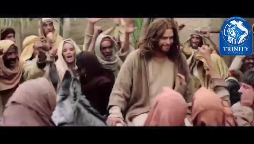 Trinity vision