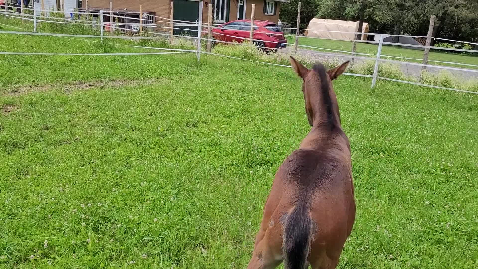 Lin-Mar Farms - Home