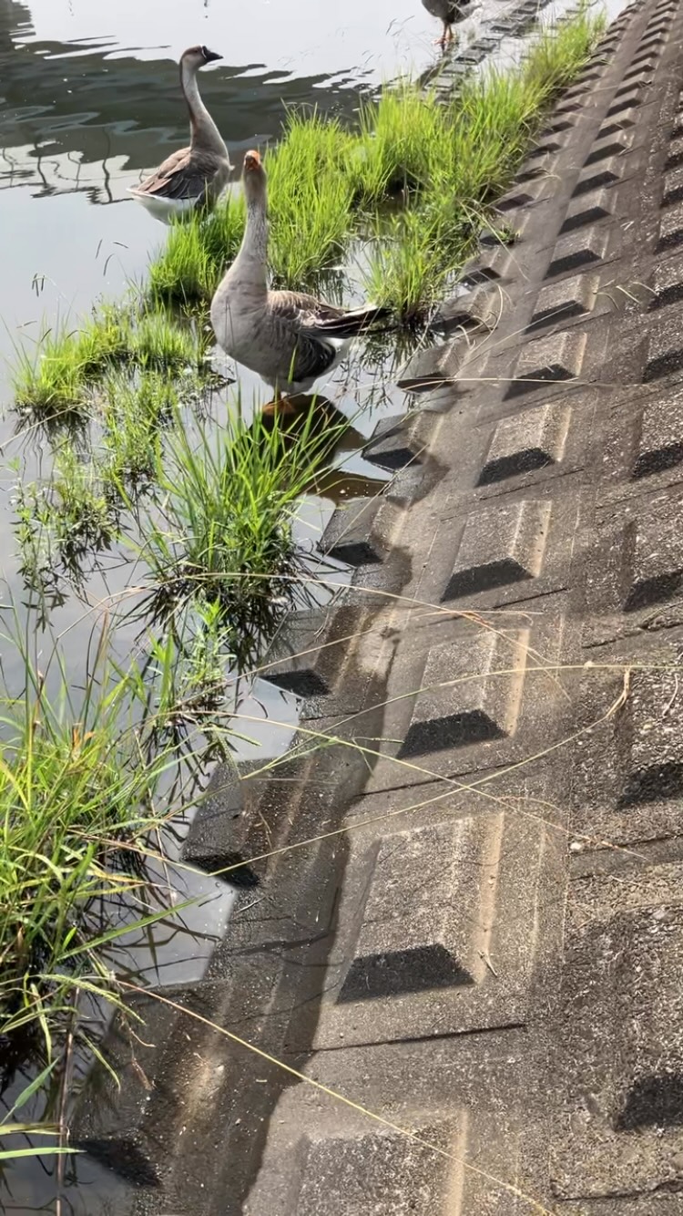 千島 下水 処理 場