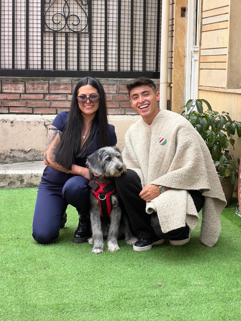 Cada vez me duele más el actuar de las personas 🥺🥲🐶 #perros # ...