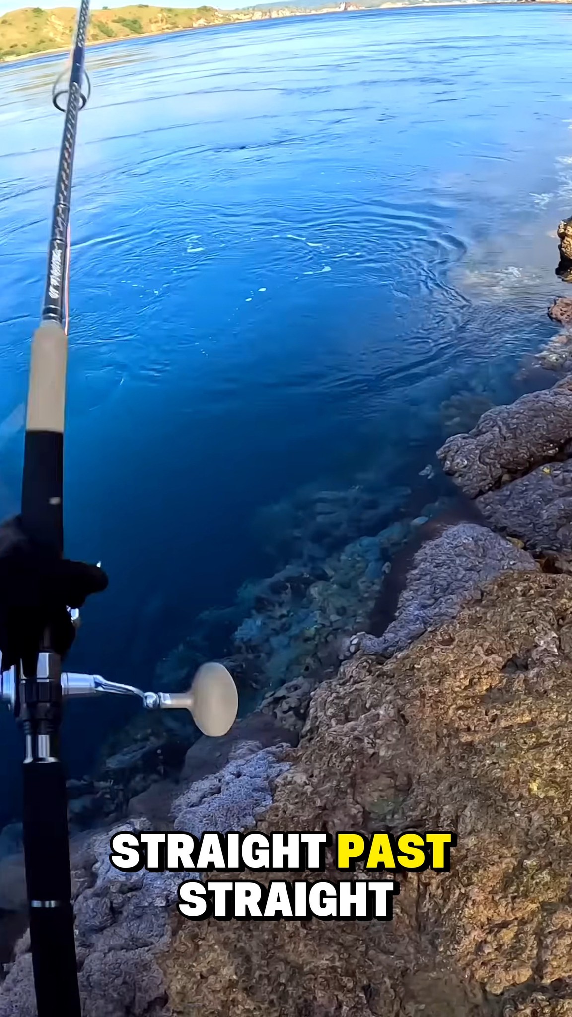 cavy fishing rod and reel Cavalla 2-Speed Lever Drag Reels useful for species that make quick runs Shimano - Caius Casting Combo