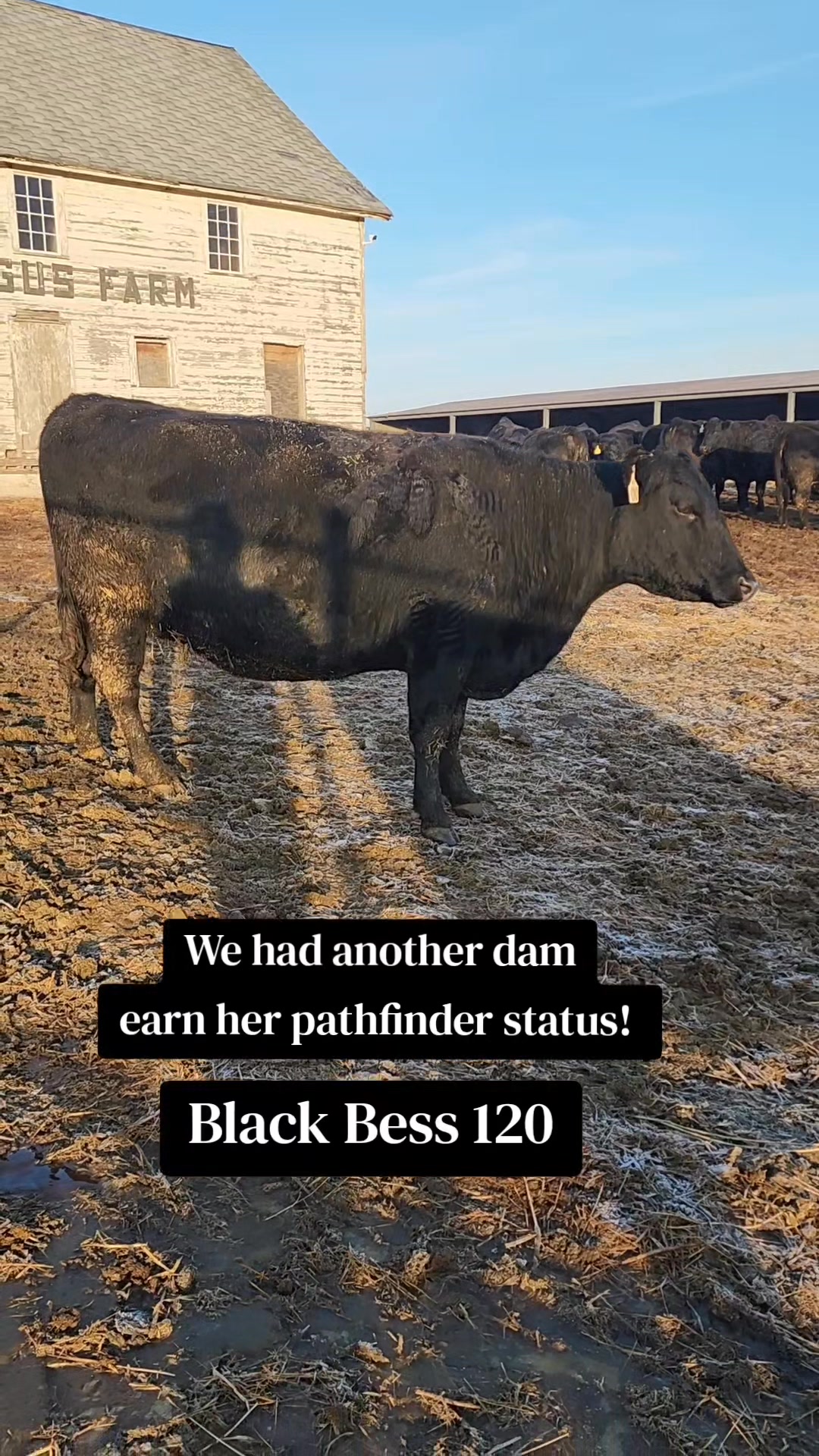 We are excited to announce that Black Bess 120 has earned her ...