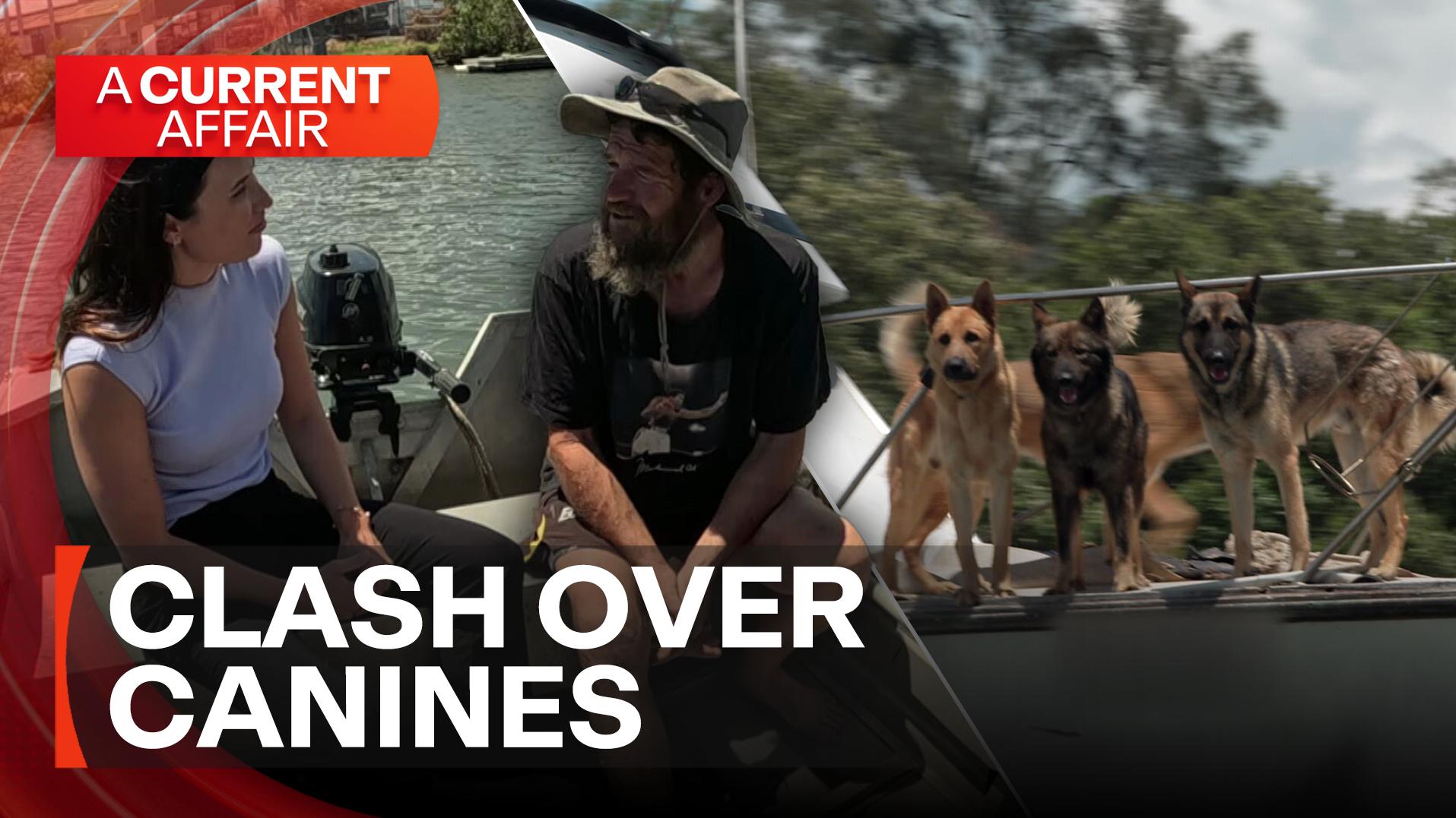 When Justin attempted to provide water to several German Shepherds on a ...