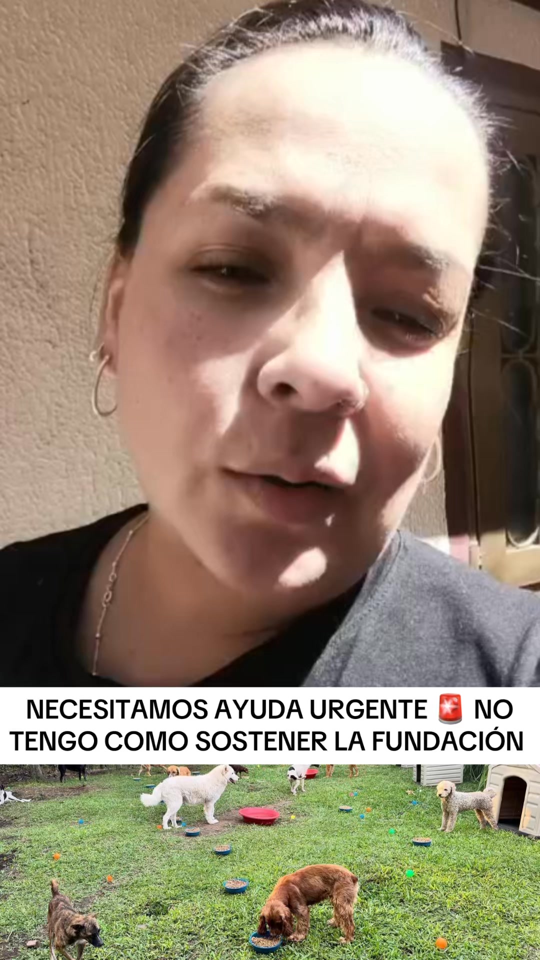 Viviana Rescata TV on Reels | Facebook