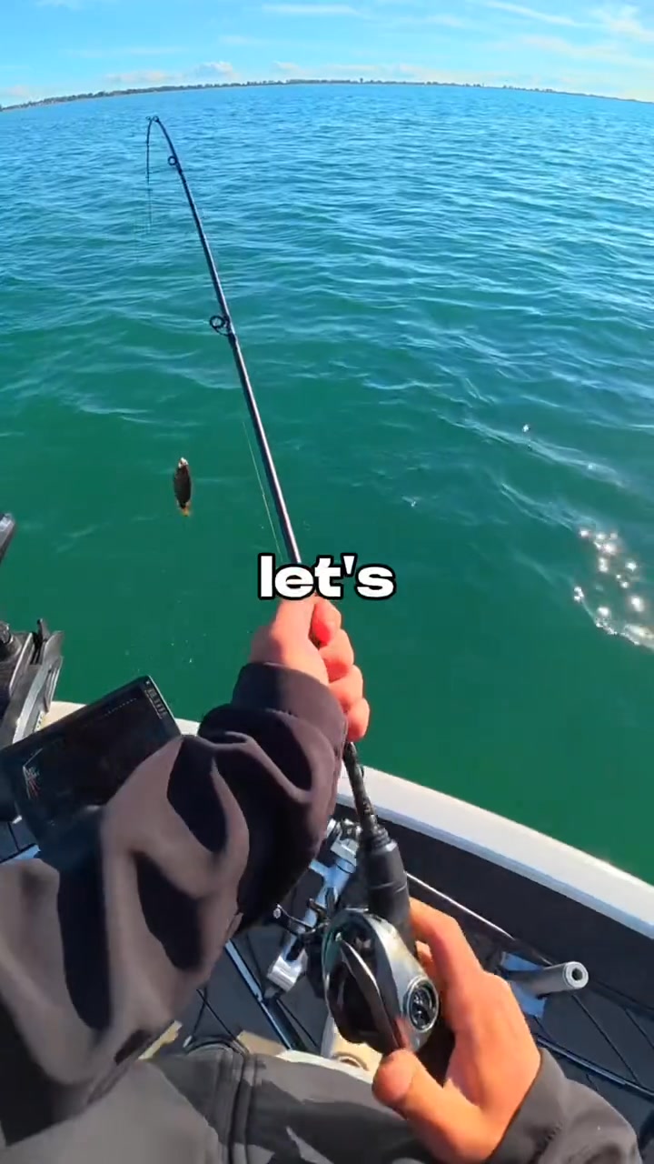 Spin the Wheel CATCH the Fish 🐟🎣 #fishing #fishingvideos ...