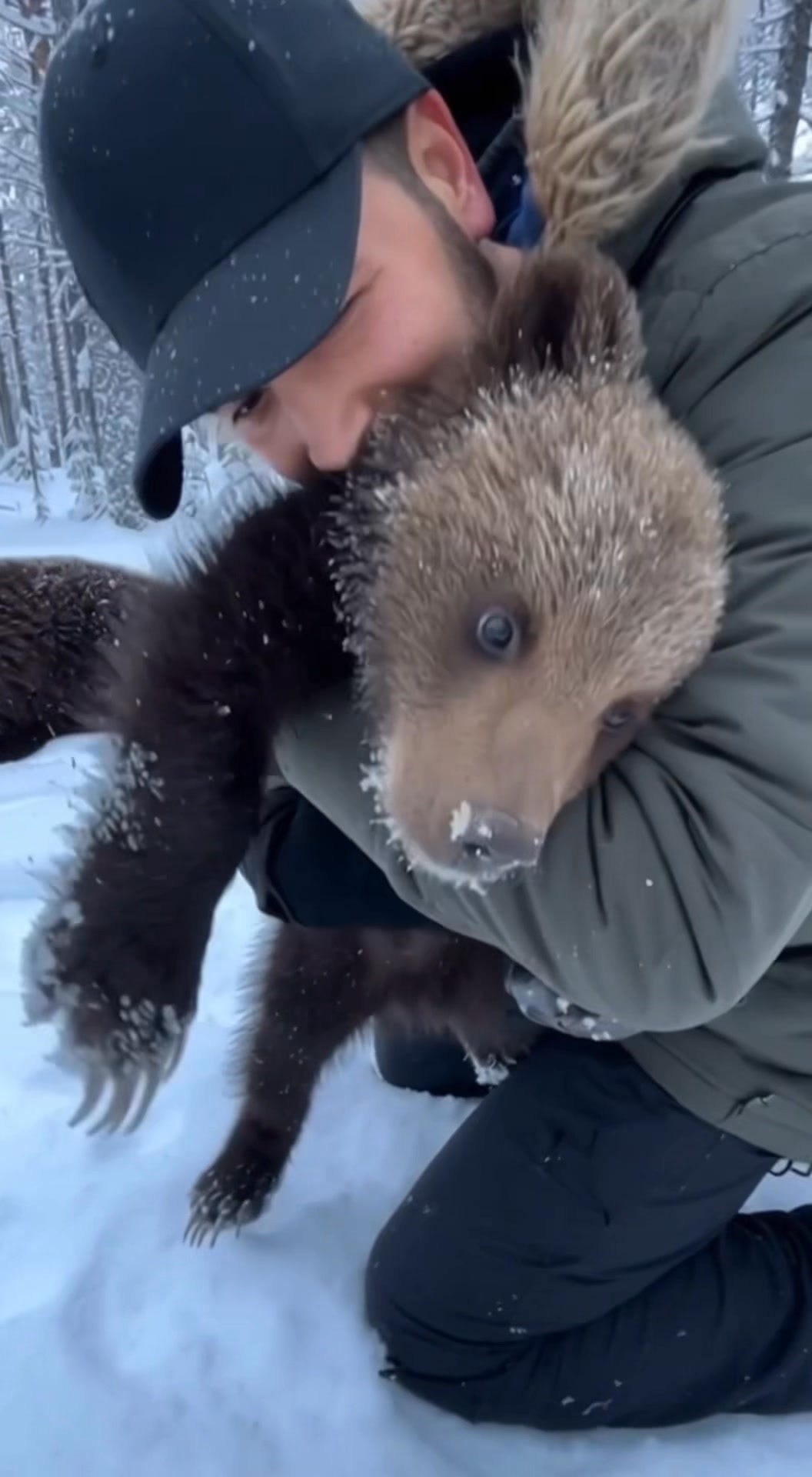I found this bear cub freezing and helpless in the snow ️🐻 Leaving him ...