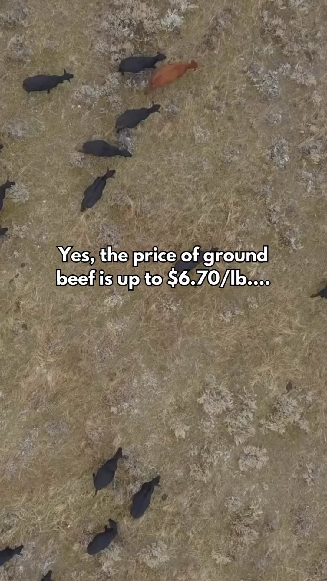 Groceries are high, we all feel it. But we hear a lot about the price ...