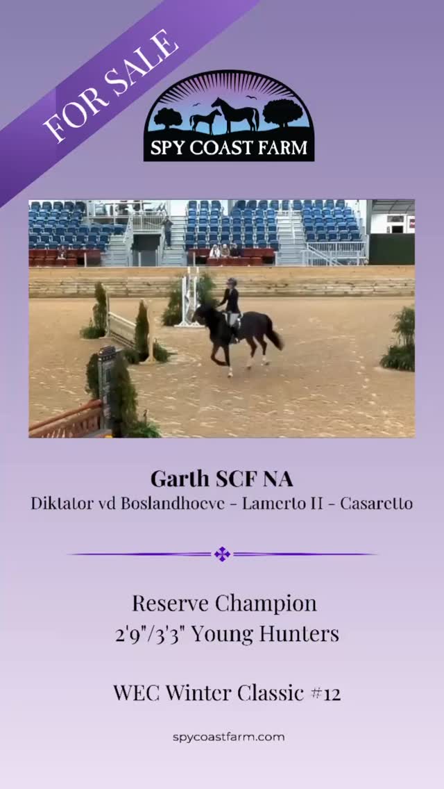 Garth SCF NA with Bella Canzano aboard Reserve Champion Young