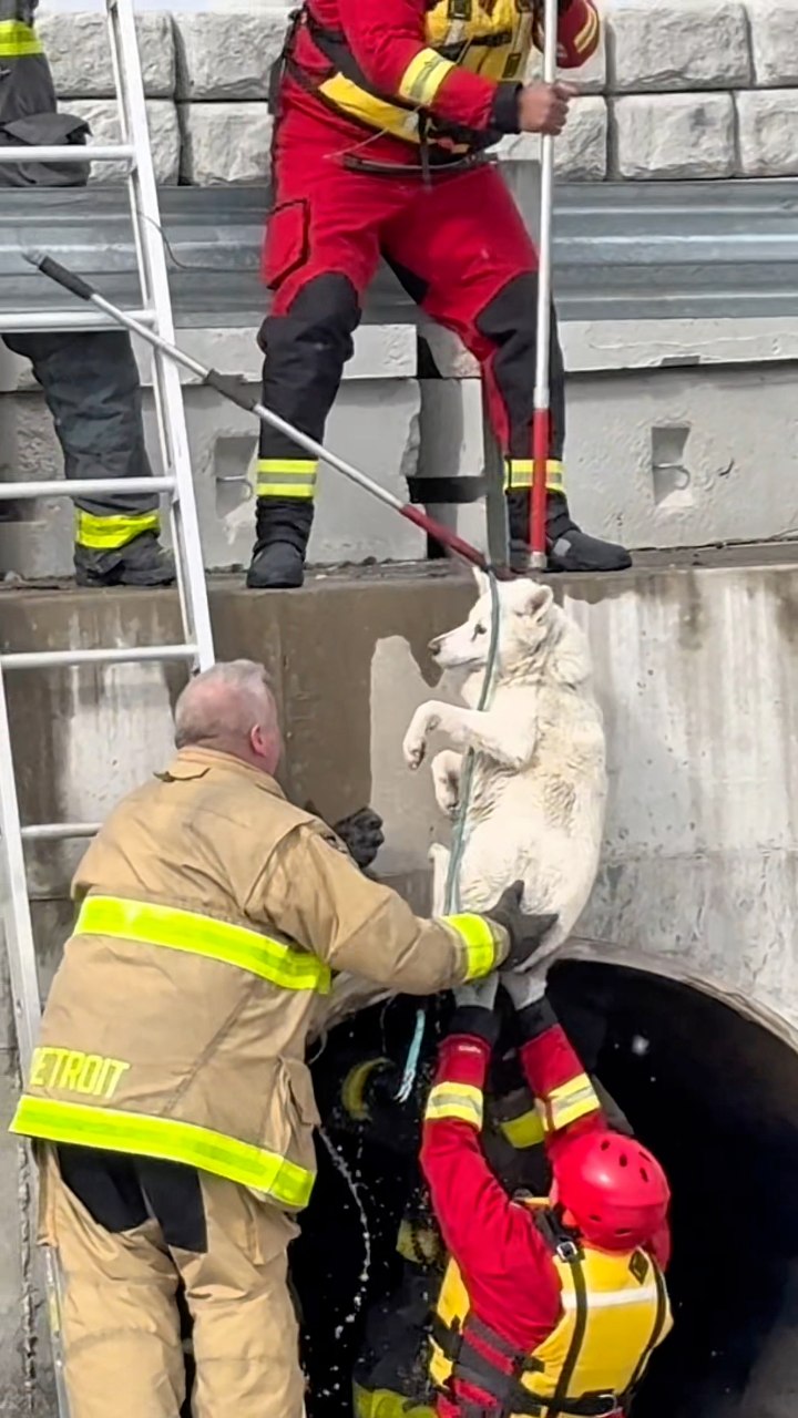 Today’s rescue took patience, planning and teamwork. Our Ladder 8 crew ...