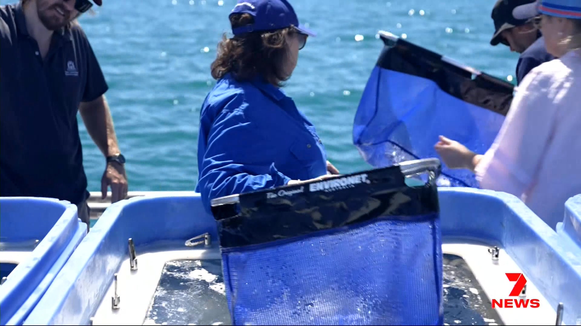 WA's fisheries minister has stood by her decision to ban demersal ...
