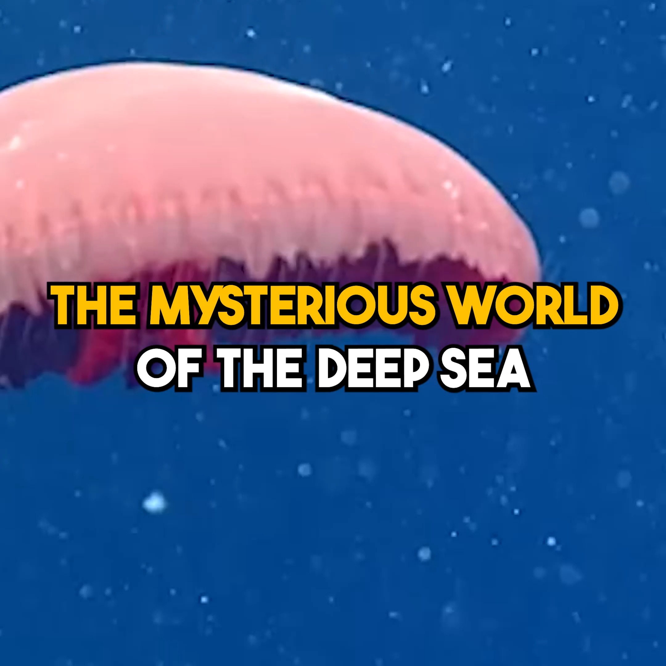 Why is the deep sea full of such creepy animals?! | Animalogic | Facebook