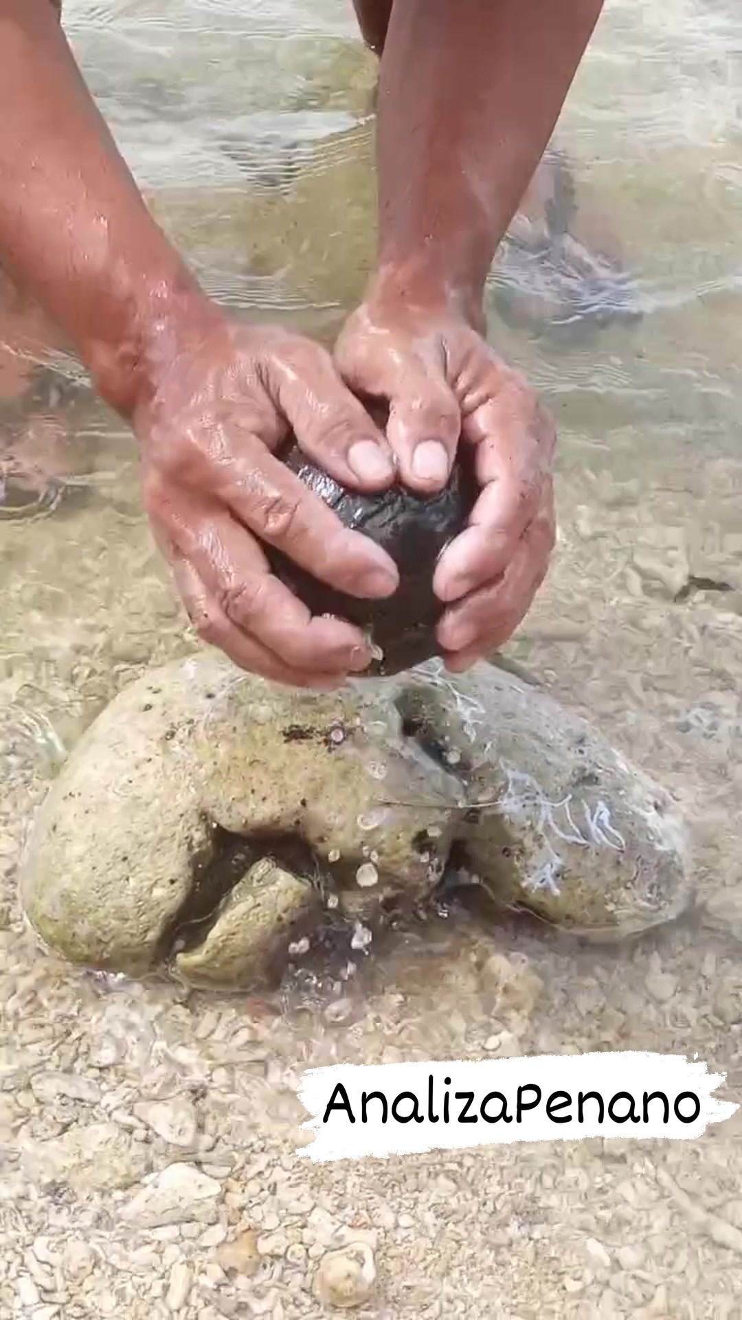 Strange coconut shell in the sea has a surprise inside 😱😱😱 # ...