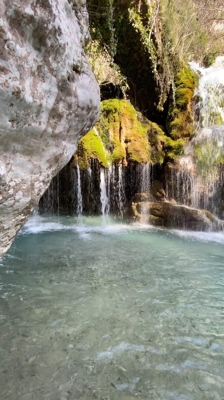 una-meraviglia-della-natura-l-oasi-capelli-di-venere-a-casaletto