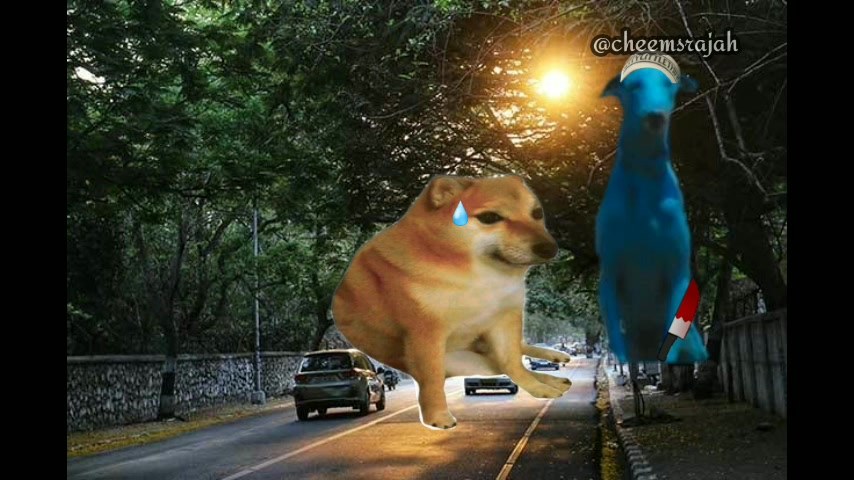 Cheems Vs Walmter 🔥 | By Cheems Rajah