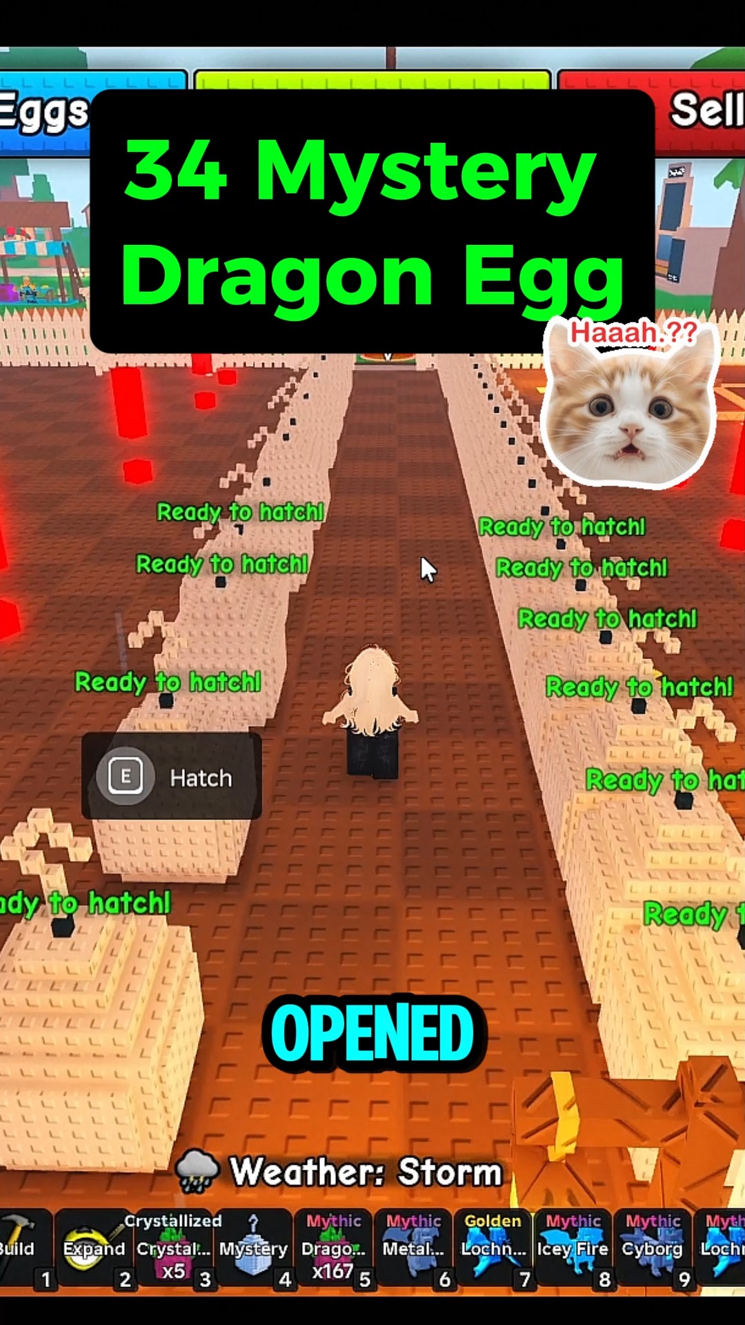Opening 34 Mystery Dragon Egg... #roblox #robloxgames | Rizz Blox ...